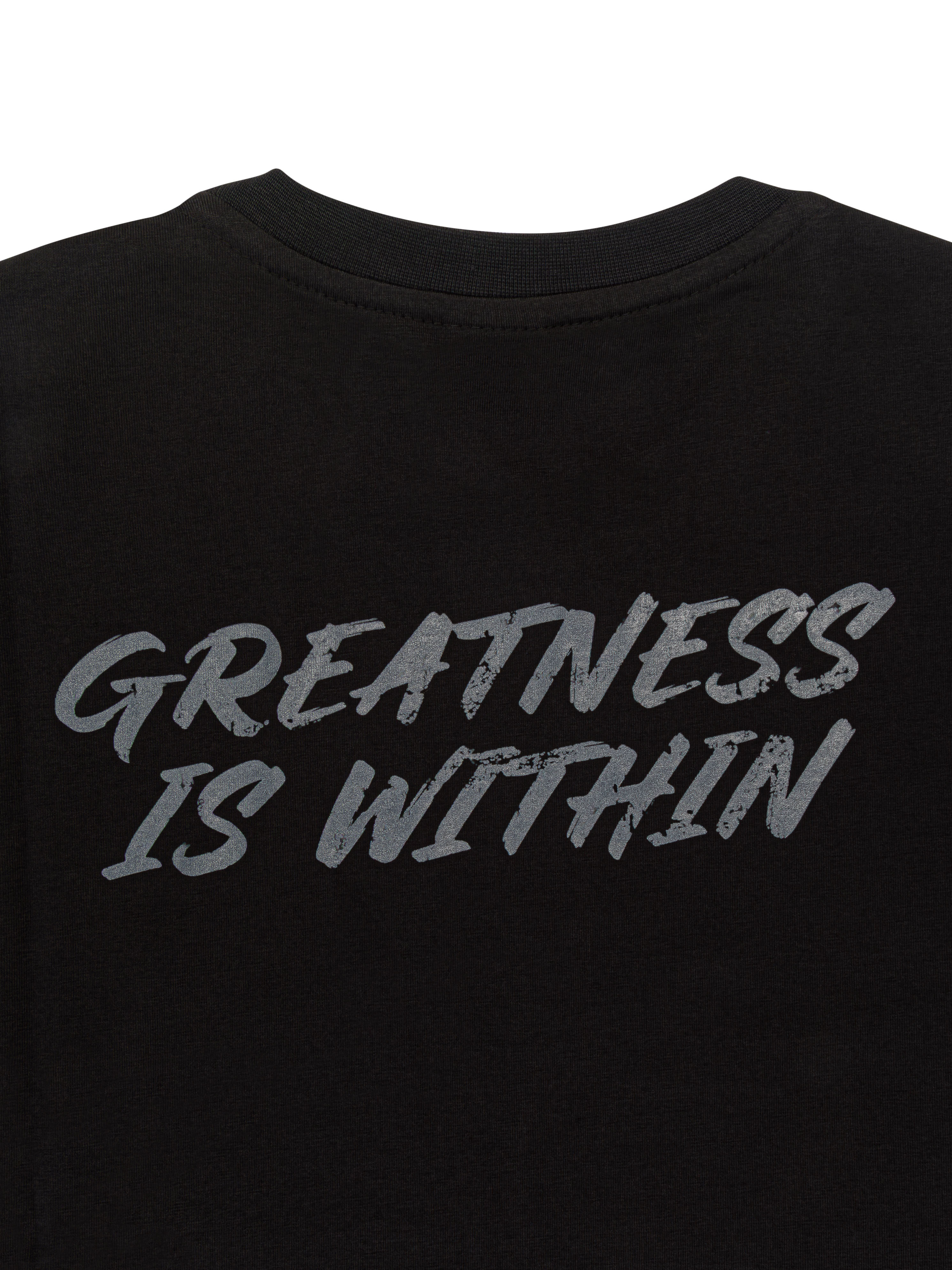 Футболка Everlast Greatness черная 