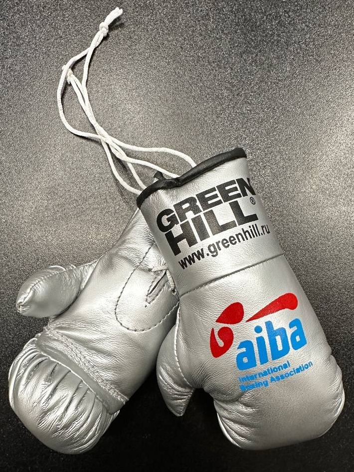  Сувенирные боксерские перчатки Green Hill AIBA серебро 
