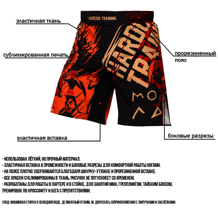  Шорты Hardcore Training Sparta Black 2 