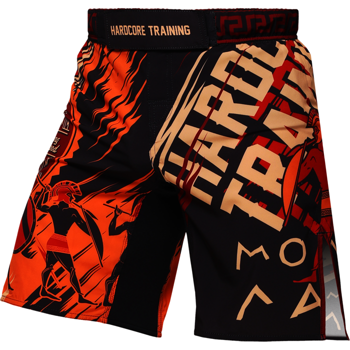  Шорты Hardcore Training Sparta Black 2 