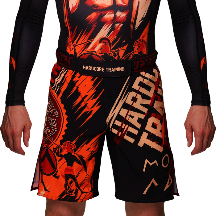  Шорты Hardcore Training Sparta Black 2 