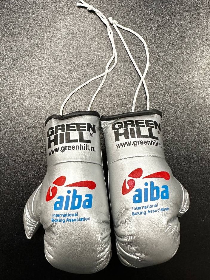  Сувенирные боксерские перчатки Green Hill AIBA серебро 