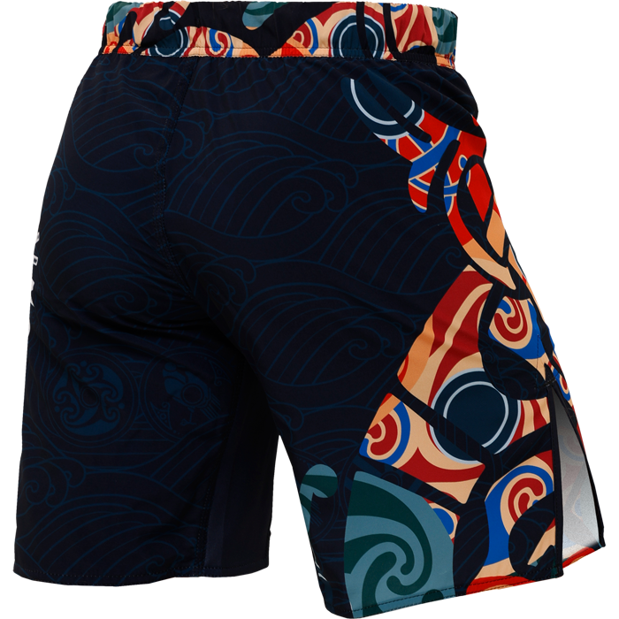  Шорты Hardcore Training Nordic Pattern Multicolor 