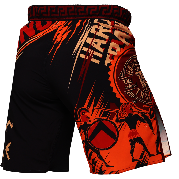 Шорты Hardcore Training Sparta Black 2 