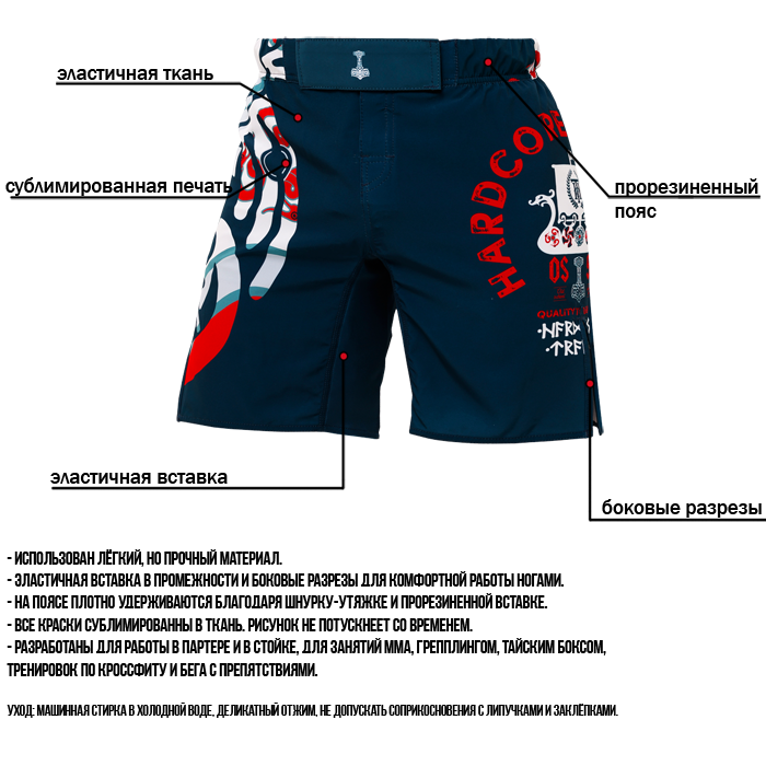  Шорты Hardcore Training Nordic Pattern Blue/White 