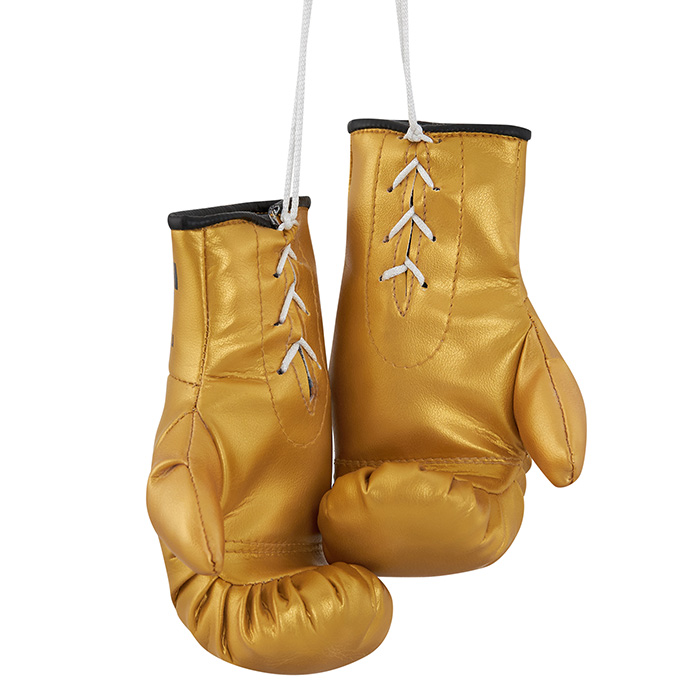  Сувенирные боксерские перчатки GREEN HILL Федерация Бокса России золотой 