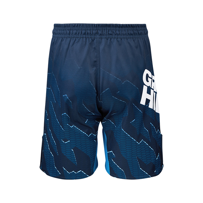  Шорты GREEN HILL СОЮЗ ММА РОССИИ синие 