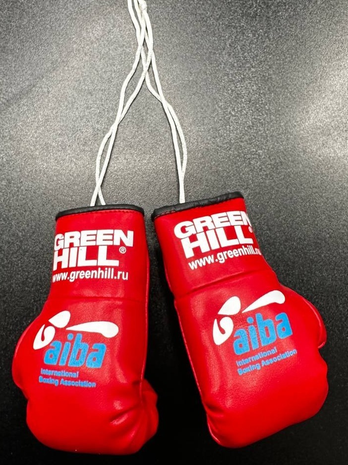  Сувенирные боксерские перчатки Green Hill AIBA красные 