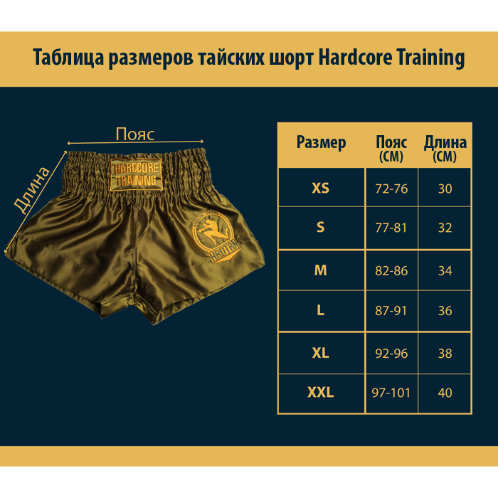  Тайские шорты Hardcore Training Base Slate Grey 