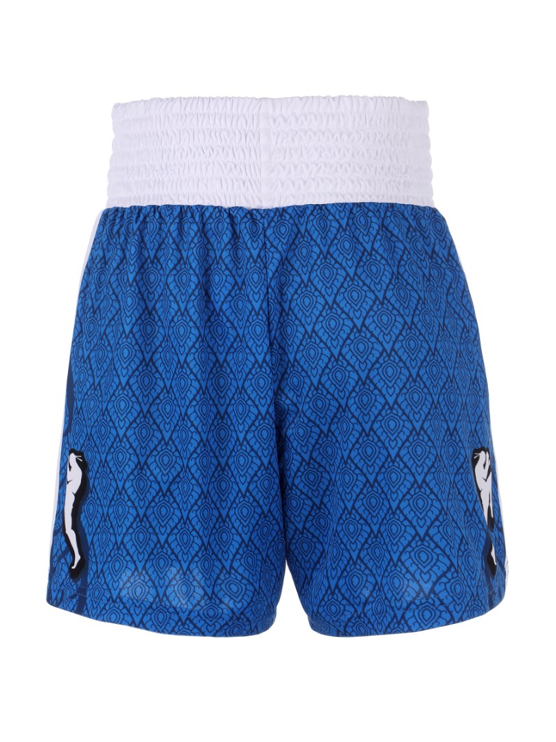  Тайские шорты RFighter ФТБР-МТ синие 