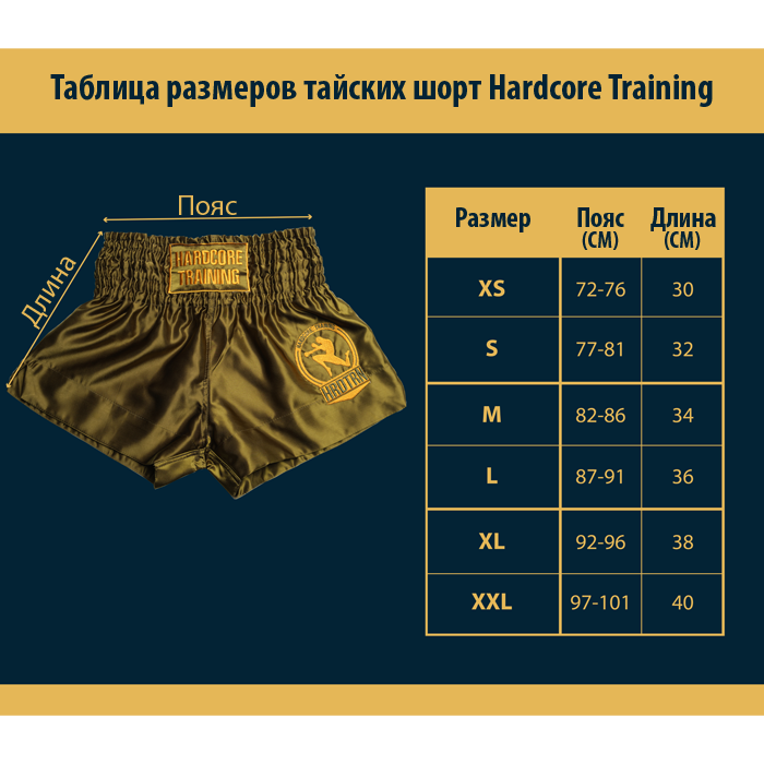  Тайские шорты Hardcore Training Gradient синие 